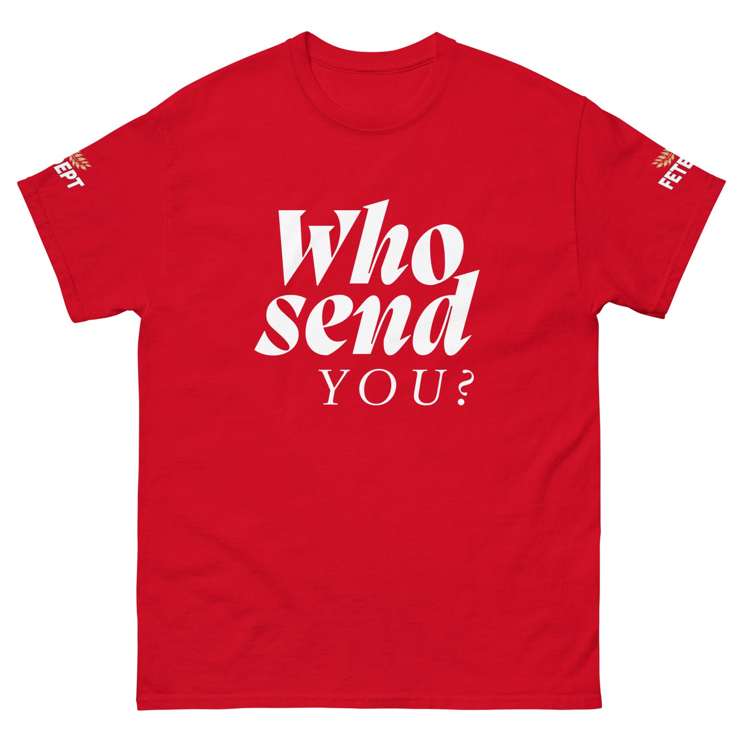 WSY? Unisex Classic Tee